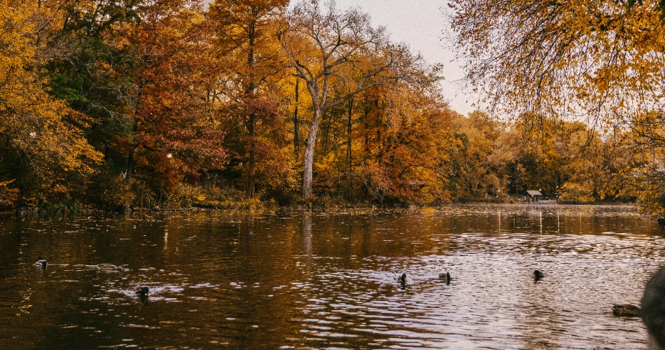 7 Best Things to Do in Warm Springs, GA